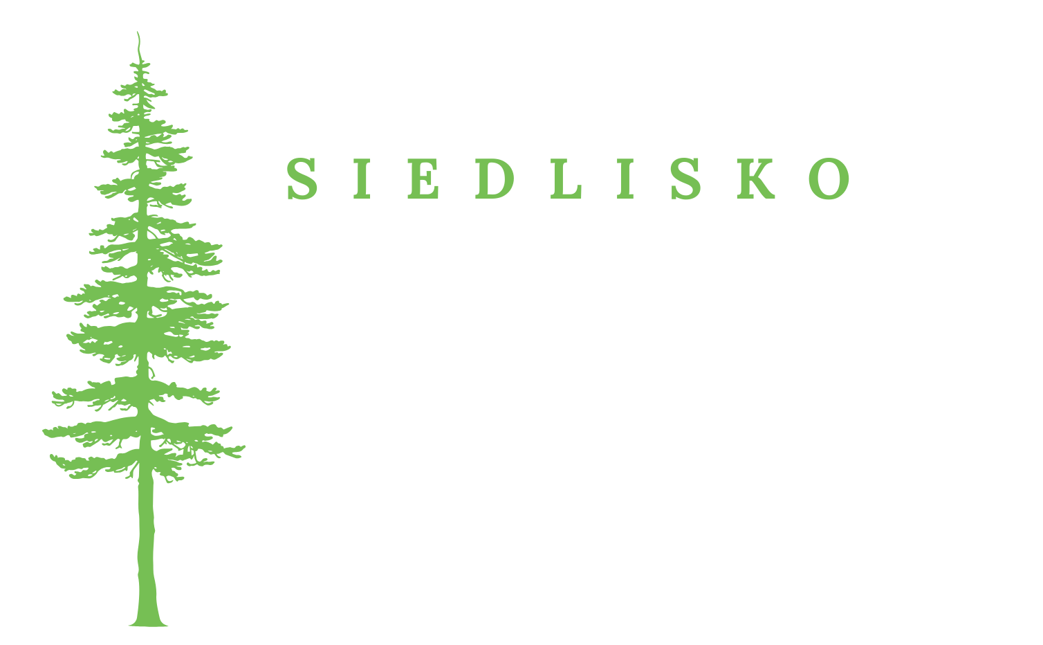 LOGO - LEŚNA DOLINA