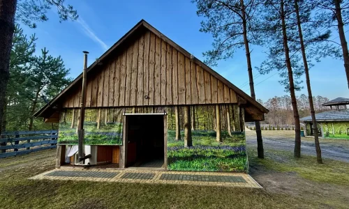 Kopce 64B - Michałowo